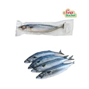 Magic Seafood Whole Saba Mackerel 600g